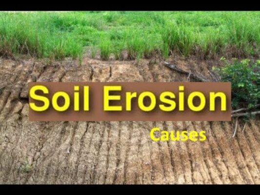 Soil Erosion: Reason, Types